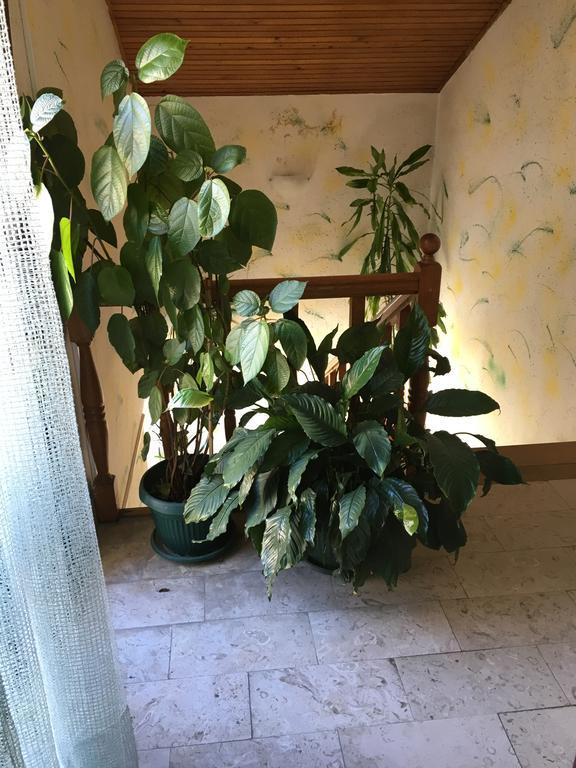 Apartments Upitnik Herceg Novi Luaran gambar